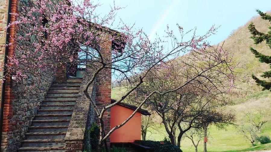 Agriturismo Paradiso41 아시시 외부 사진