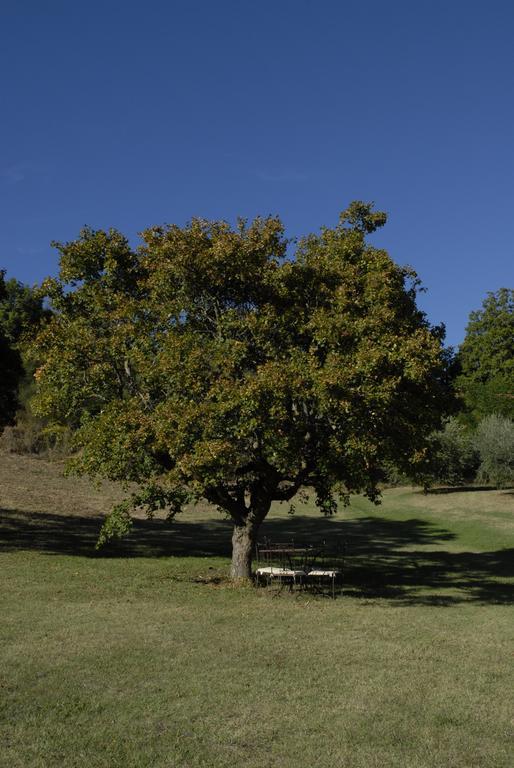 Agriturismo Paradiso41 아시시 외부 사진