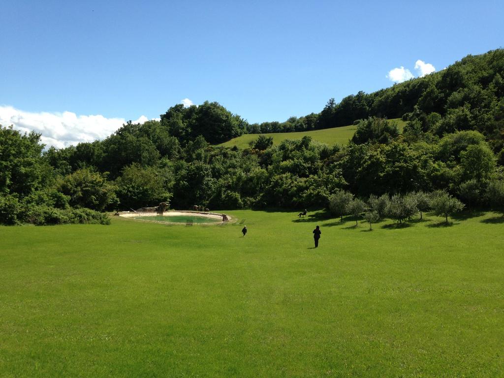 Agriturismo Paradiso41 아시시 외부 사진