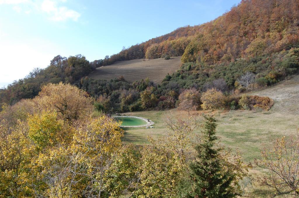 Agriturismo Paradiso41 아시시 외부 사진