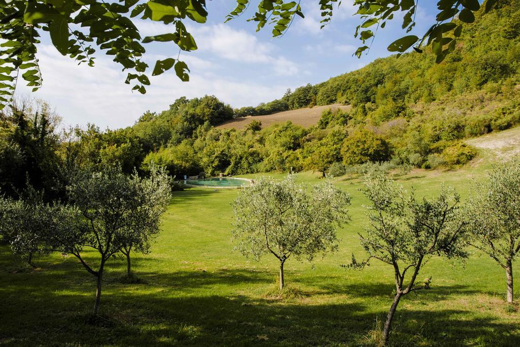 Agriturismo Paradiso41 아시시 외부 사진